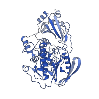 42484_8ur6_B_v1-1
Cryo-EM reconstruction of Staphylococcus aureus oleate hydratase (OhyA) dimer with a disordered C-terminal membrane-association domain