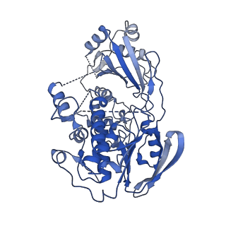 42484_8ur6_B_v1-2
Cryo-EM reconstruction of Staphylococcus aureus oleate hydratase (OhyA) dimer with a disordered C-terminal membrane-association domain