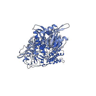 42488_8urb_A_v1-0
Porcine epidemic diarrhea virus complete core polymerase complex