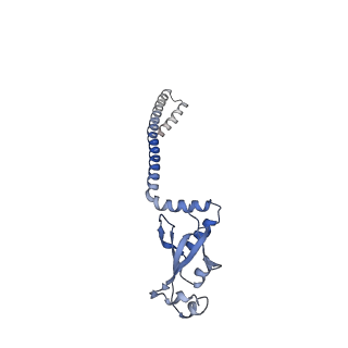 42488_8urb_D_v1-0
Porcine epidemic diarrhea virus complete core polymerase complex