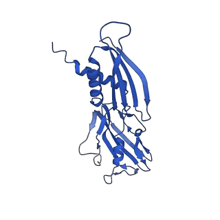 42502_8urw_B_v1-1
Cyanobacterial RNA polymerase elongation complex with NusG and CTP