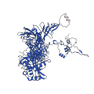 42502_8urw_C_v1-0
Cyanobacterial RNA polymerase elongation complex with NusG and CTP