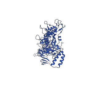 42502_8urw_D_v1-0
Cyanobacterial RNA polymerase elongation complex with NusG and CTP