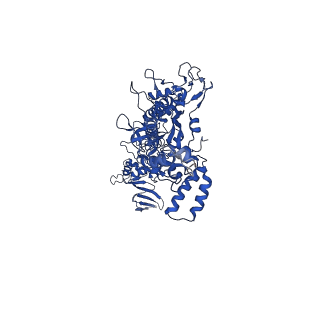 42502_8urw_D_v1-1
Cyanobacterial RNA polymerase elongation complex with NusG and CTP