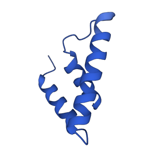 42502_8urw_E_v1-1
Cyanobacterial RNA polymerase elongation complex with NusG and CTP