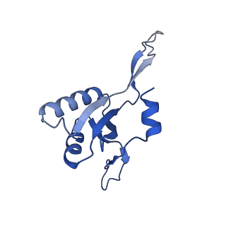 42502_8urw_G_v1-0
Cyanobacterial RNA polymerase elongation complex with NusG and CTP