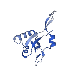 42502_8urw_G_v1-1
Cyanobacterial RNA polymerase elongation complex with NusG and CTP