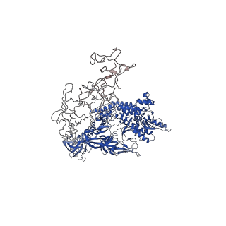 42502_8urw_Z_v1-0
Cyanobacterial RNA polymerase elongation complex with NusG and CTP