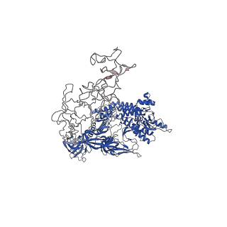 42502_8urw_Z_v1-1
Cyanobacterial RNA polymerase elongation complex with NusG and CTP