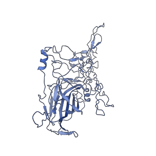 8598_5urf_1_v1-2
The structure of human bocavirus 1