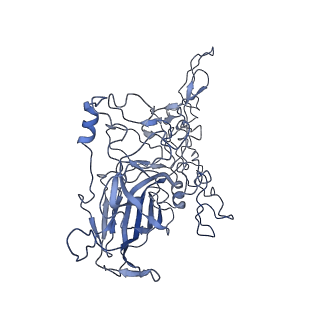 8598_5urf_1_v1-3
The structure of human bocavirus 1