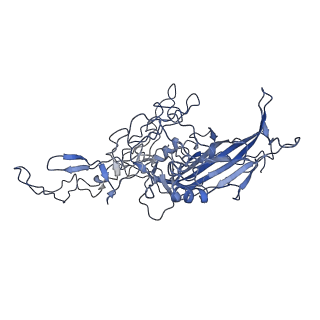 8598_5urf_2_v1-2
The structure of human bocavirus 1