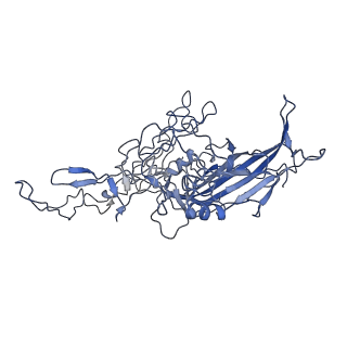 8598_5urf_2_v1-3
The structure of human bocavirus 1