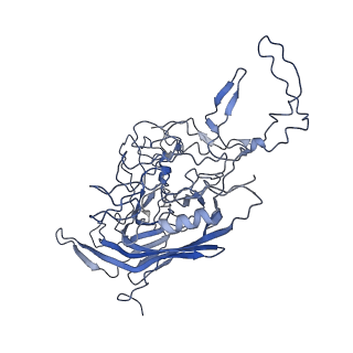 8598_5urf_3_v1-3
The structure of human bocavirus 1