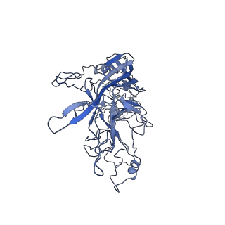 8598_5urf_4_v1-2
The structure of human bocavirus 1