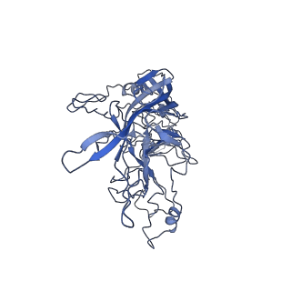 8598_5urf_4_v1-3
The structure of human bocavirus 1