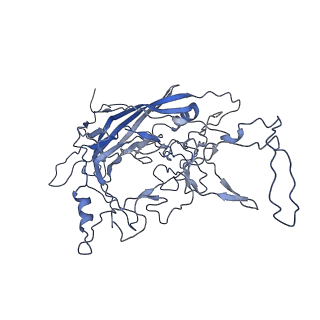 8598_5urf_5_v1-2
The structure of human bocavirus 1