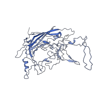 8598_5urf_5_v1-3
The structure of human bocavirus 1