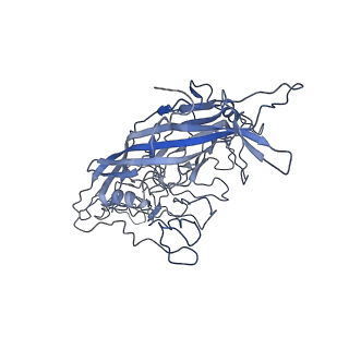 8598_5urf_6_v1-2
The structure of human bocavirus 1