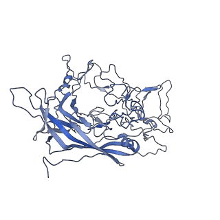 8598_5urf_7_v1-3
The structure of human bocavirus 1