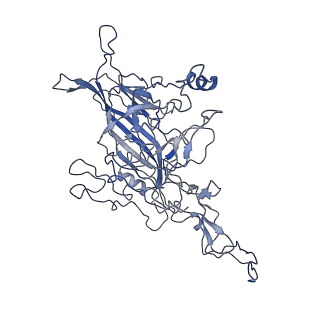 8598_5urf_A_v1-2
The structure of human bocavirus 1