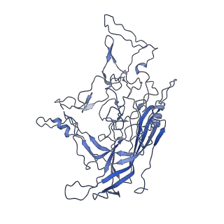 8598_5urf_C_v1-3
The structure of human bocavirus 1