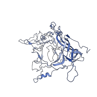 8598_5urf_D_v1-3
The structure of human bocavirus 1