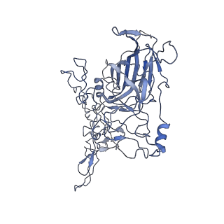 8598_5urf_E_v1-2
The structure of human bocavirus 1