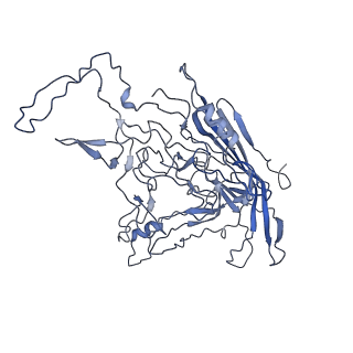 8598_5urf_F_v1-2
The structure of human bocavirus 1