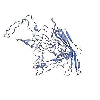 8598_5urf_F_v1-3
The structure of human bocavirus 1