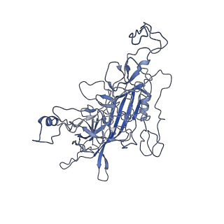 8598_5urf_G_v1-2
The structure of human bocavirus 1