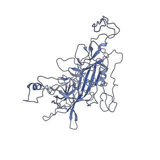 8598_5urf_G_v1-3
The structure of human bocavirus 1