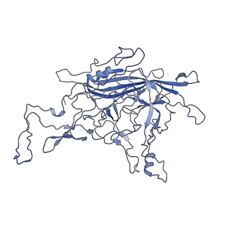 8598_5urf_I_v1-3
The structure of human bocavirus 1