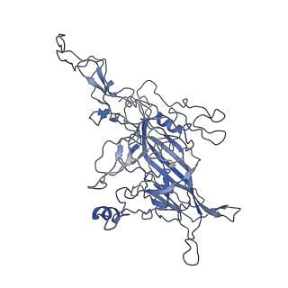 8598_5urf_J_v1-2
The structure of human bocavirus 1