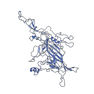 8598_5urf_J_v1-3
The structure of human bocavirus 1