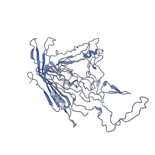 8598_5urf_K_v1-2
The structure of human bocavirus 1