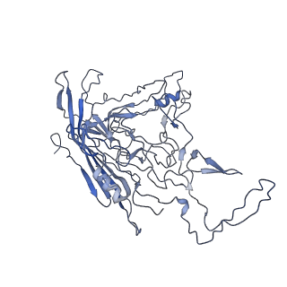 8598_5urf_K_v1-3
The structure of human bocavirus 1