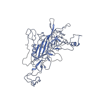 8598_5urf_L_v1-2
The structure of human bocavirus 1