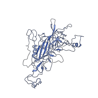 8598_5urf_L_v1-3
The structure of human bocavirus 1