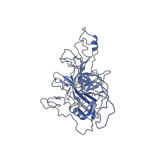 8598_5urf_M_v1-2
The structure of human bocavirus 1