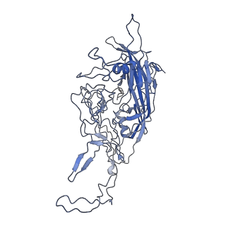 8598_5urf_N_v1-2
The structure of human bocavirus 1