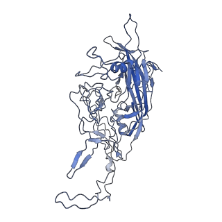 8598_5urf_N_v1-3
The structure of human bocavirus 1