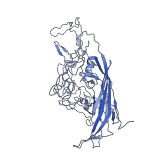8598_5urf_O_v1-2
The structure of human bocavirus 1