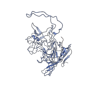 8598_5urf_P_v1-2
The structure of human bocavirus 1