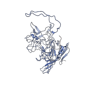 8598_5urf_P_v1-3
The structure of human bocavirus 1