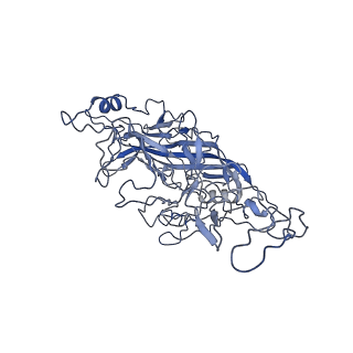 8598_5urf_Q_v1-2
The structure of human bocavirus 1