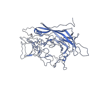 8598_5urf_R_v1-3
The structure of human bocavirus 1