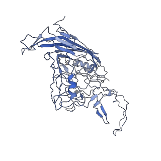 8598_5urf_S_v1-2
The structure of human bocavirus 1
