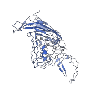 8598_5urf_S_v1-3
The structure of human bocavirus 1