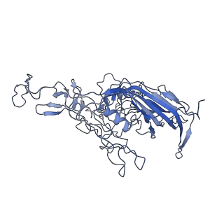 8598_5urf_T_v1-2
The structure of human bocavirus 1